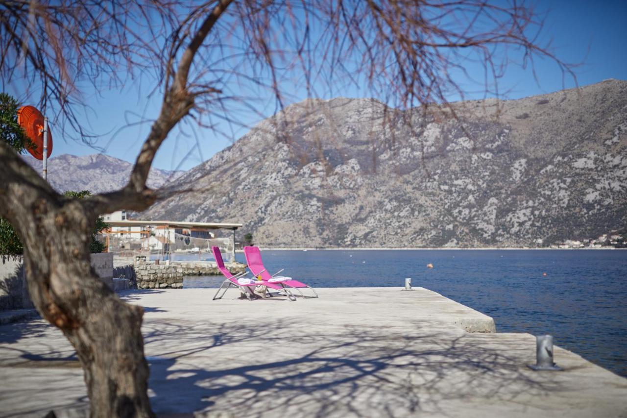 Apartments Pajovic Kotor Exteriör bild